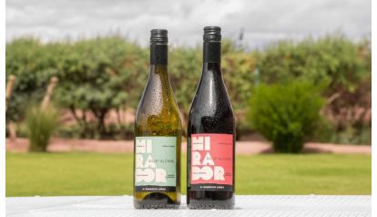 El vino que rompe prejuicios llega a las góndolas