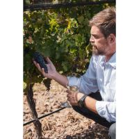 CONVERTIR AL VINO EN HOMENAJE