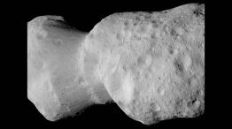 Asteroide Donald Johanson 20012026