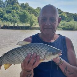 La jornada entregó una pesca variada, con capturas de dorados, grandes palometas, bagres amarillos, algunos patíes de porte chico y la aparición de bogas, que siempre suman expectativa. 