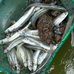 Para el mundo de la pesca deportiva, estas acciones representan mucho más que una experiencia científica: son una inversión directa en el futuro del recurso.