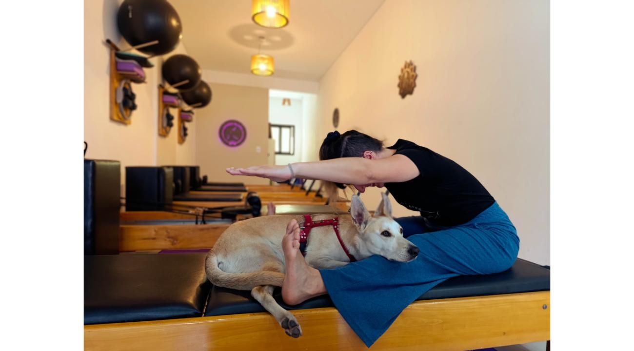 Los beneficios de Pilates: una disciplina que transforma cuerpo y mente