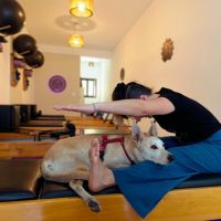 Los beneficios de Pilates: una disciplina que transforma cuerpo y mente