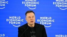 Elon Musk en Davos
