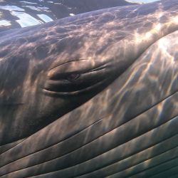 Un destino inesperado para el verano: Comodoro Rivadavia abunda en actividades y paseos.