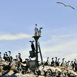 Un destino inesperado para el verano: Comodoro Rivadavia abunda en actividades y paseos.