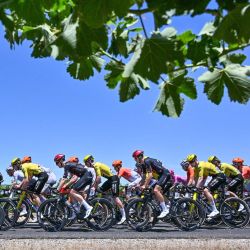 El pelotón recorre el valle de Barossa durante la primera etapa del Tour Down Under UCI Men's Cycling Race en Adelaida, Australia. | Foto:Brenton Edwards / AFP