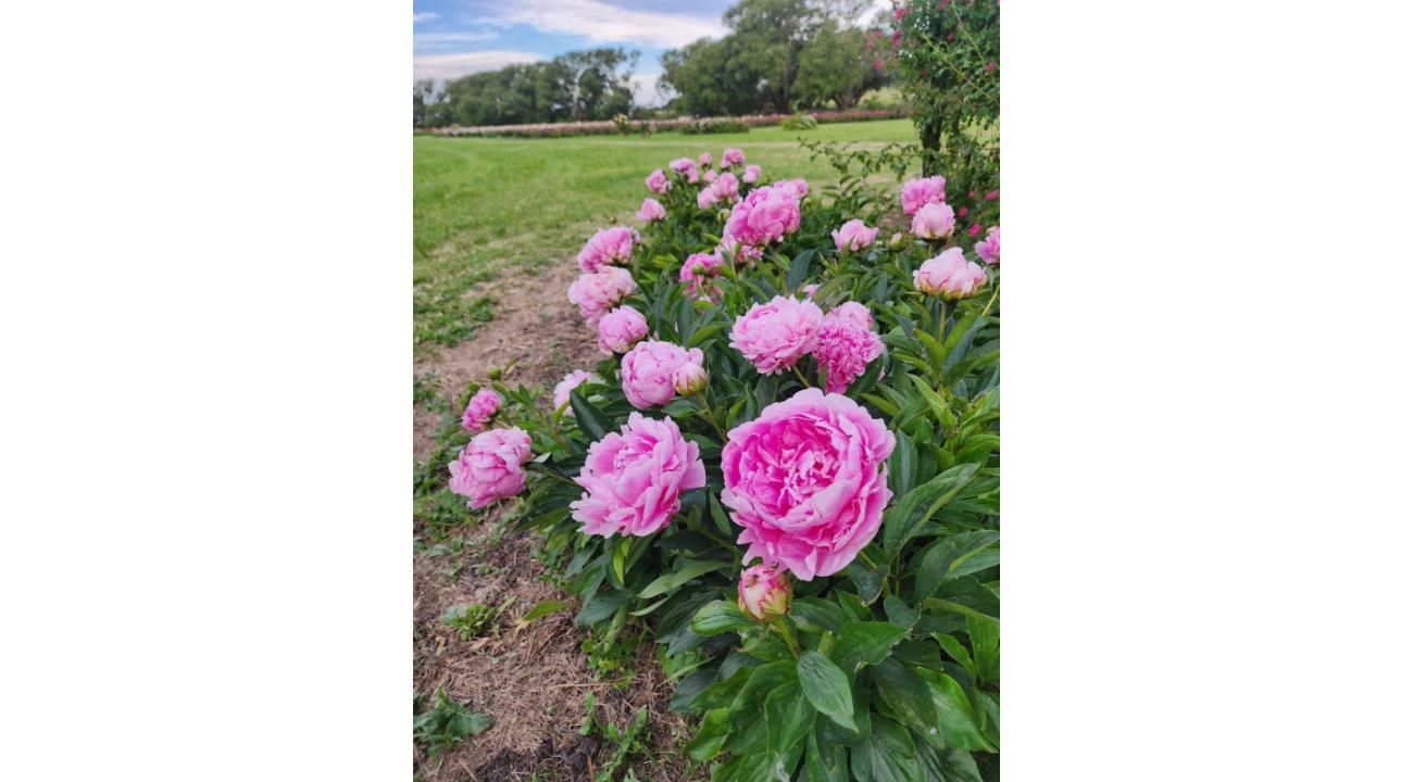 LIQUIDAMBAR AMBIENTACIONES – Abrimos una nueva etapa profesional 