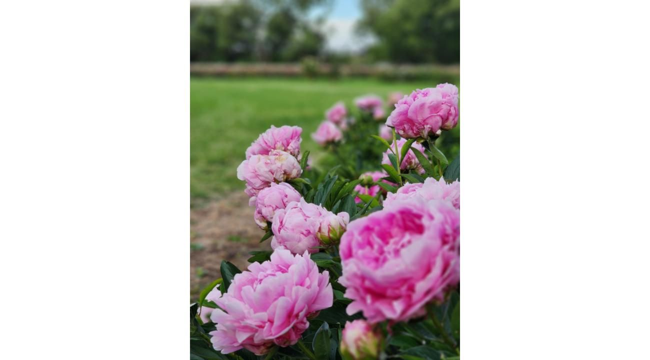 LIQUIDAMBAR AMBIENTACIONES – Abrimos una nueva etapa profesional 