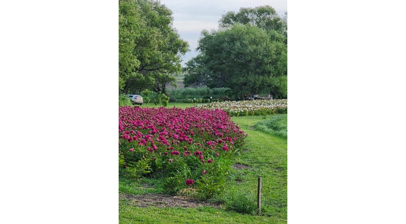 LIQUIDAMBAR AMBIENTACIONES – Abrimos una nueva etapa profesional 