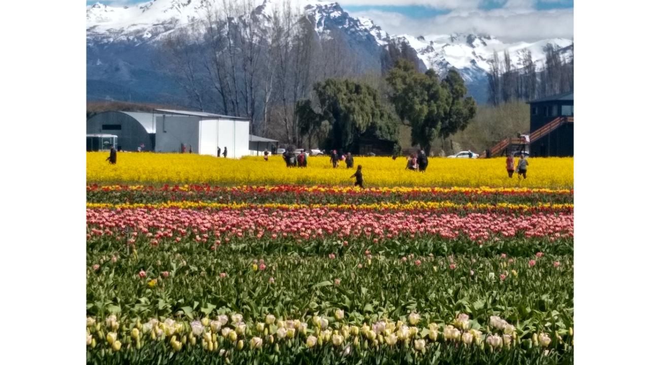 LIQUIDAMBAR AMBIENTACIONES – Abrimos una nueva etapa profesional 