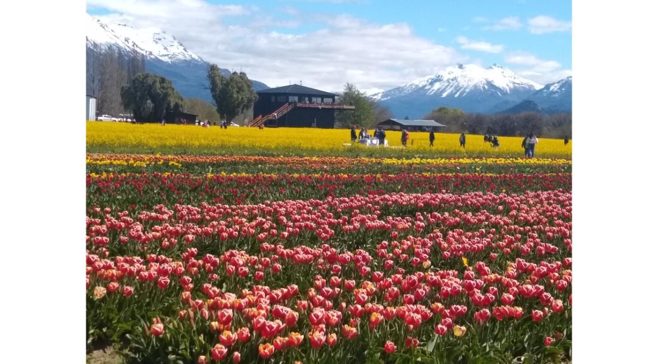 LIQUIDAMBAR AMBIENTACIONES – Abrimos una nueva etapa profesional 