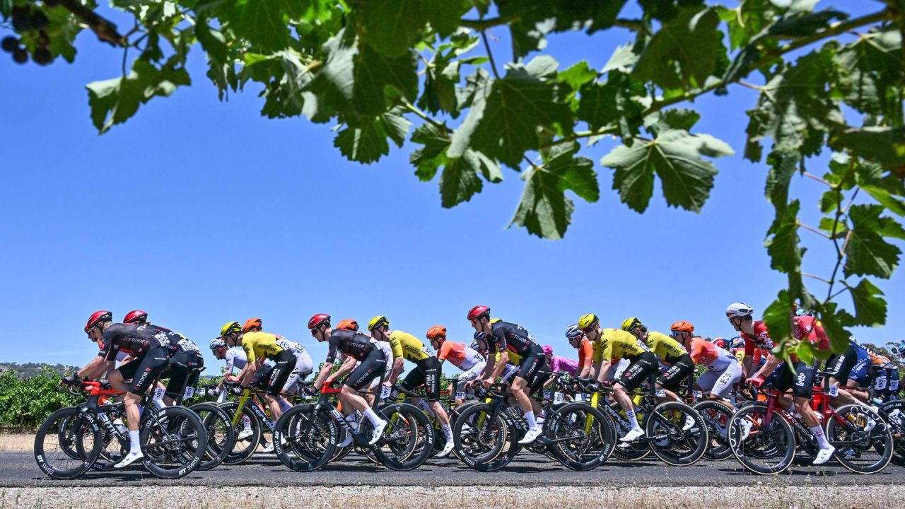 El pelotón recorre el valle de Barossa durante la primera etapa del Tour Down Under UCI Men's Cycling Race en Adelaida, Australia. | Foto:Brenton Edwards / AFP