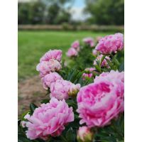 LIQUIDAMBAR AMBIENTACIONES – Abrimos una nueva etapa profesional 