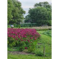 LIQUIDAMBAR AMBIENTACIONES – Abrimos una nueva etapa profesional 