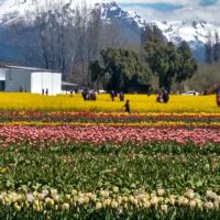 LIQUIDAMBAR AMBIENTACIONES – Abrimos una nueva etapa profesional 