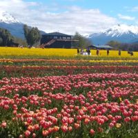 LIQUIDAMBAR AMBIENTACIONES – Abrimos una nueva etapa profesional 