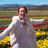 LIQUIDAMBAR AMBIENTACIONES – Abrimos una nueva etapa profesional 