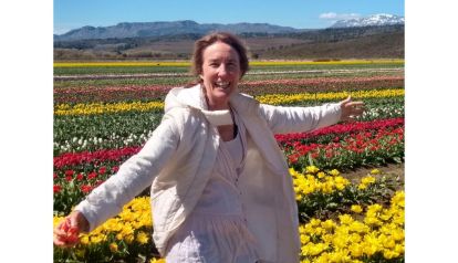 LIQUIDAMBAR AMBIENTACIONES – Abrimos una nueva etapa profesional 