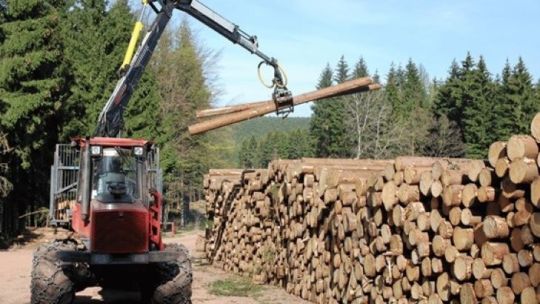 El NEA ante un cambio de modelo: menos Estado, más competitividad