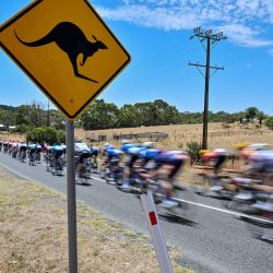El pelotón pasa junto a una señal de tráfico con forma de canguro durante el Tour Down Under UCI Men's Cycling en Adelaida, Australia. | Foto:Brenton Edwards / AFP
