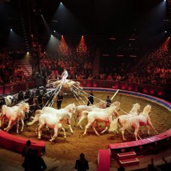 La cuidadora de caballos Angelina Richter actúa durante el 48º Festival Internacional de Circo de Montecarlo, en Mónaco, Francia. | Foto:Valery Hache / AFP