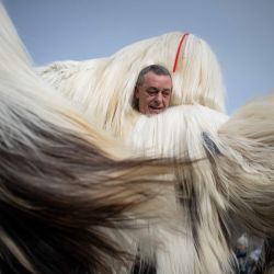 Un bailarín con un traje de pelo de cabra, conocido como Kukeri, actúa durante el Festival Internacional de los Juegos de Mascarada en Pernik, al oeste de Bulgaria. El festival cuenta con participantes que llevan máscaras multicolores, cubiertas de cuentas, cintas y borlas de lana, mientras que el bailarín principal, cargado de campanillas para ahuyentar enfermedades y malos espíritus, se balancea como una espiga de trigo cargada de grano. | Foto:NIKOLAY DOYCHINOV / AFP
