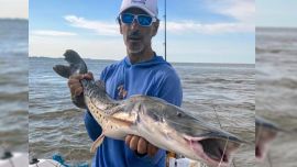 La perseverancia tuvo premio. En uno de los últimos lances, un tiro preciso provocó la corrida soñada. El surubí tomó el señuelo y ofreció una pelea memorable.