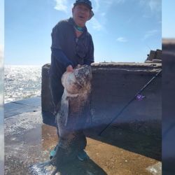 Impresionante: pescaron una corvina negra de 22.700 kg en Mar del Plata.