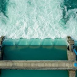 La estrategia se basa en la instalación de barreras eléctricas subacuáticas que generan corriente continua en el agua pero no electrocutan a los peces, sino que produce una sensación desagradable en ejemplares de gran tamaño, obligándolos a cambiar de rumbo.