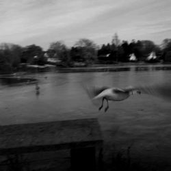 Federico Rabinovich | Foto:Grupo Mass