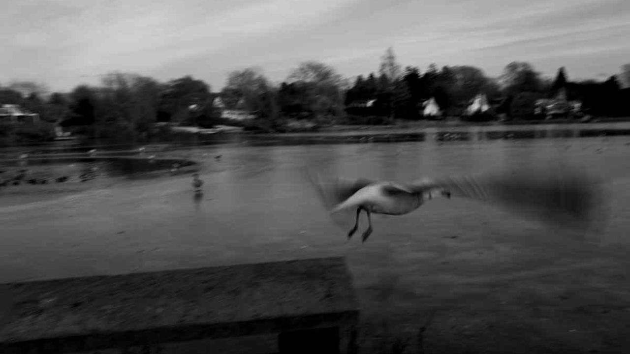 Federico Rabinovich | Foto:Grupo Mass