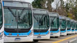 Cambian los subsidios del transporte en Córdoba: quiénes pierden el beneficio y qué pasa con el boleto desde agosto