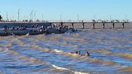 Buenos Aires de espaldas al río: las trabas para acceder a la costa porteña