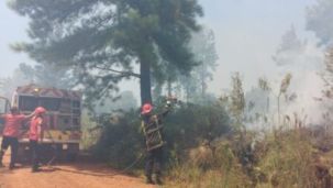 27-01-2026 incendio de malezas Loreto Misiones