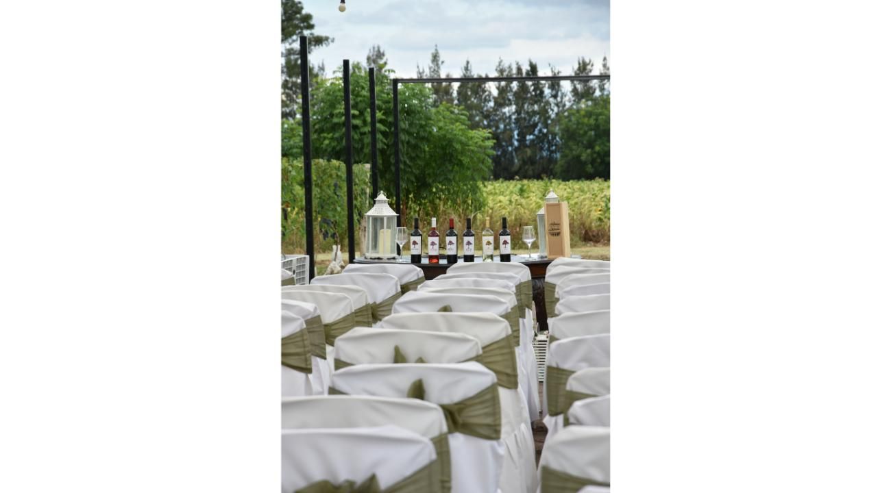 Concluyó la primera vendimia del País