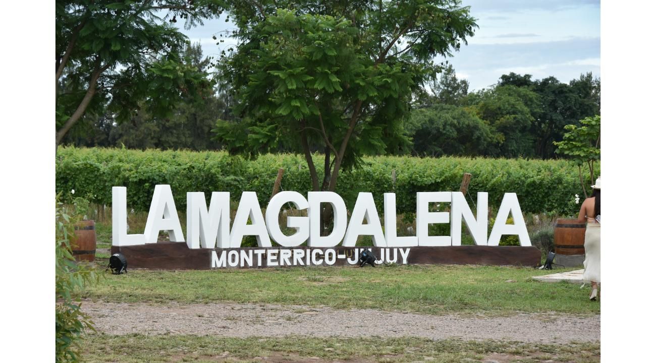 Concluyó la primera vendimia del País