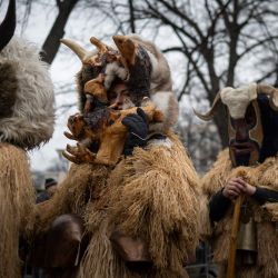 Bailarines con disfraces y máscaras, conocidos como Kukeri, actúan durante el Festival Internacional de los Juegos de Mascarada en Pernik, al oeste de Bulgaria. El festival cuenta con participantes que llevan máscaras multicolores, cubiertas de cuentas, cintas y borlas de lana, mientras el bailarín principal, cargado de campanillas para ahuyentar enfermedades y malos espíritus, se balancea como una espiga de trigo cargada de grano. | Foto:NIKOLAY DOYCHINOV / AFP