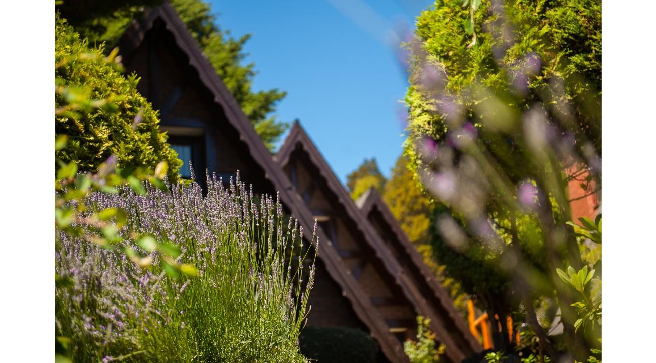 El Verano se Vive Mejor en Cabañas Antilhue, San Martín de los Andes