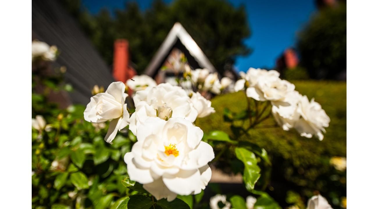 El Verano se Vive Mejor en Cabañas Antilhue, San Martín de los Andes