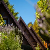 El Verano se Vive Mejor en Cabañas Antilhue, San Martín de los Andes