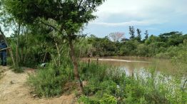 El lugar donde fue encontrada la menor. 