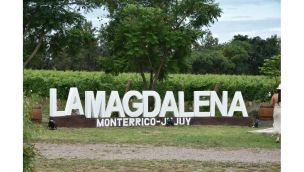 Concluyó la primera vendimia del País