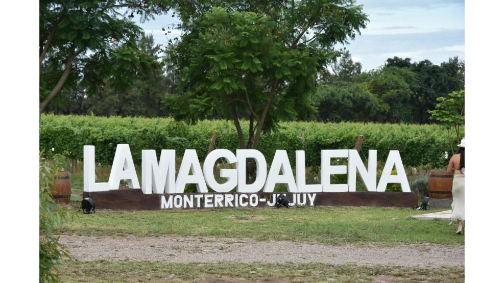 Concluyó la primera vendimia del País