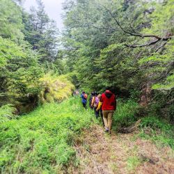 Experiencia Krugger: navegación, gastronomía y trekking en el paraíso del Parque Nacional Los Alerces.
