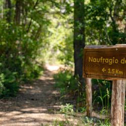 Experiencia Krugger: navegación, gastronomía y trekking en el paraíso del Parque Nacional Los Alerces.
