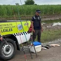 Los distintos procedimientos realizados en todo el país reflejan una realidad preocupante: la pesca furtiva sigue siendo una amenaza constante para los ambientes acuáticos.