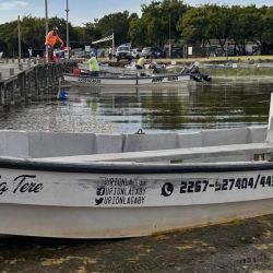 Para dar con los pejerreyes, rinde muy bien el filet de dientudo, aunque hay jornadas en las que se vuelve selectivo y solo acepta mojarra viva.