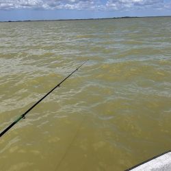 Para dar con los pejerreyes, rinde muy bien el filet de dientudo, aunque hay jornadas en las que se vuelve selectivo y solo acepta mojarra viva.