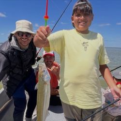 Para dar con los pejerreyes, rinde muy bien el filet de dientudo, aunque hay jornadas en las que se vuelve selectivo y solo acepta mojarra viva.